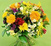 Envio y venta de flores ,rosas, plantas,arreglos florales ,regalos y desayunos a domicilio con delivery gratis en la Ciudad Autonoma de Buenos Aires y con costo de env�o en localidades del Gran Buenos Aires asi como delivery de flores y plantas a trav�s de florerias asociadas en todas las provincias de la Argentina, Buenos Aires, la Pampa, Tucuman, La Rioja, R�o Negro, Entre Rios, Corrientes, Misiones, Neuquen, Chubut, Tierra del Fuego, Santa Cruz, San Luis, Mendoza, Cordoba, Jujuy, Formosa, Santiago del Estero, Salta, Chaco, Catamarca ,San Juan, y ademas realizamos el delivery de flores ,coronas,palmas , plantas y regalos a todas las ciudades de Argentina, Mar del Plata, C�rdoba, Buenos Aires, con cargo en Santa Rosa, La Plata, Bella Vista, Neuquen, Pilar, Paran�, Posadas, Resistencia, Cipolleti y mas de 300 ciudades y localidades en todo el territorio de nuestro pa�s, asi como tambien tenemos la posibilidad de enviar flores a casi todo el mundo en cuestion de horas